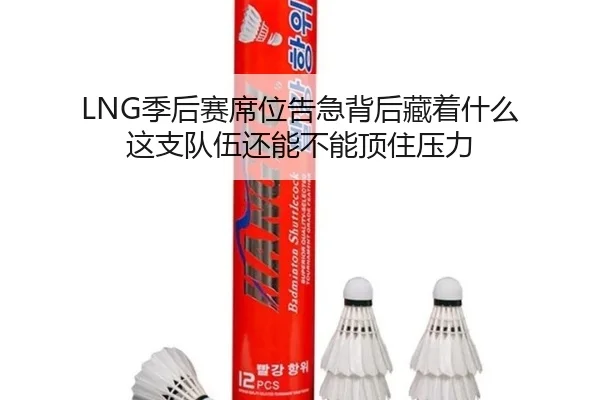 LNG季后赛席位告急背后藏着什么 这支队伍还能不能顶住压力（kaiyundianzi）